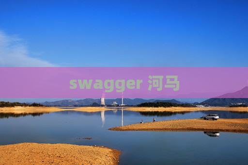 swagger 河马